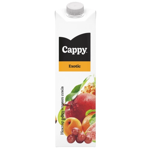 Сік Сарру (Екзотик) 1л
